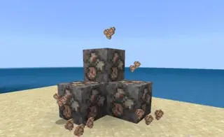 Nautilium