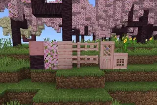 Better Cherry Blossom Biome