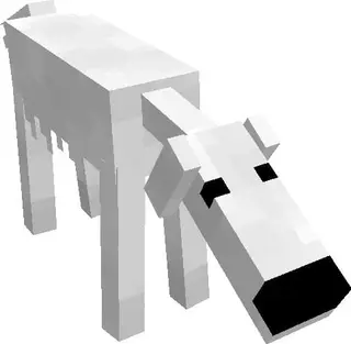 Borzoi Dog