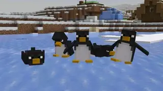 ARCTIC