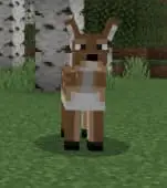 Extra Biomes and Mobs