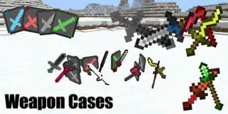 Weapon Cases