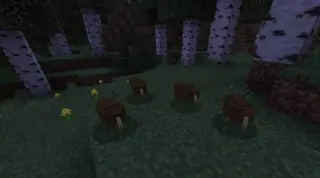 VanillaPlus