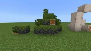 Archeology Update