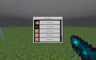 CustomNPC