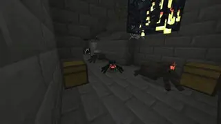 Baguette's Structures