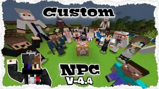Custom NPCs