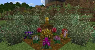 bum_Flora