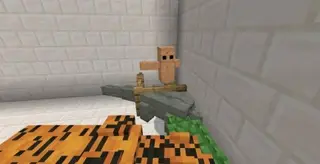 Fezario Animal