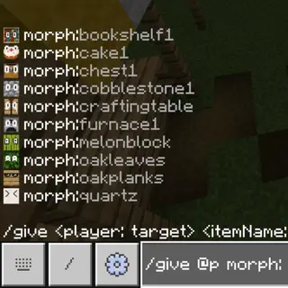 Block Disguise
