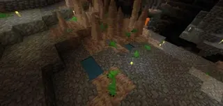 Emerald Plus+