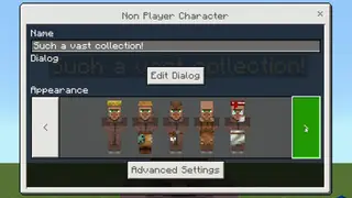 Villager NPC