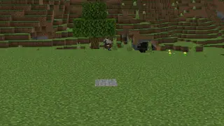 Trap Blocks