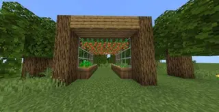 Agricultural Satisfaction