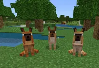 Domesticraft