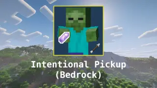 Intentional Pickup Add-on for Minecraft