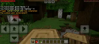 More Achievements Add-on for Minecraft