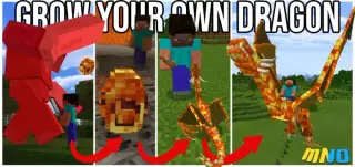 Grow Your Own Dragon addon for Minecraft