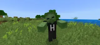 HZ's Green Screen Texture Pack for Minecraft