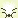 Feeling Kinda Cube