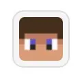 Bloxd.io Blocks