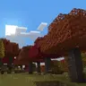 Maple Tree