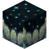 Deep Remnants
