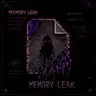 Memory Leak
