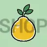 Pomelo's Shop