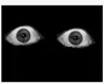 Watcher Presence