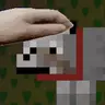 PatPat NH