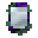Instant World Mirror