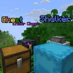 Show Chest Name