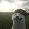 NoJumpDelay+