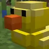 Poppin Duckies