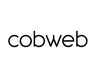 cobweb