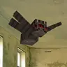 Spiders On Ceiling