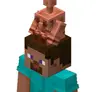 Wearable Copper Golems