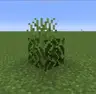 Grass on Leaves