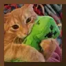 Potato's Cat Paintings