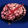 Brainless Lib