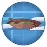 Sable: Far and Wide (Create Aeronautics)