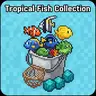 Tropical Fish Collection