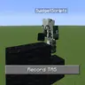Swidget's TAS