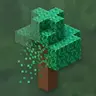 Ripple Leaf Decay