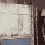 Fly Through Glass