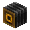 snapcam