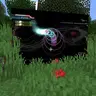 OSU Touch Grass