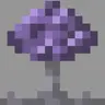 Mycoscape