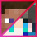 StraySkins
